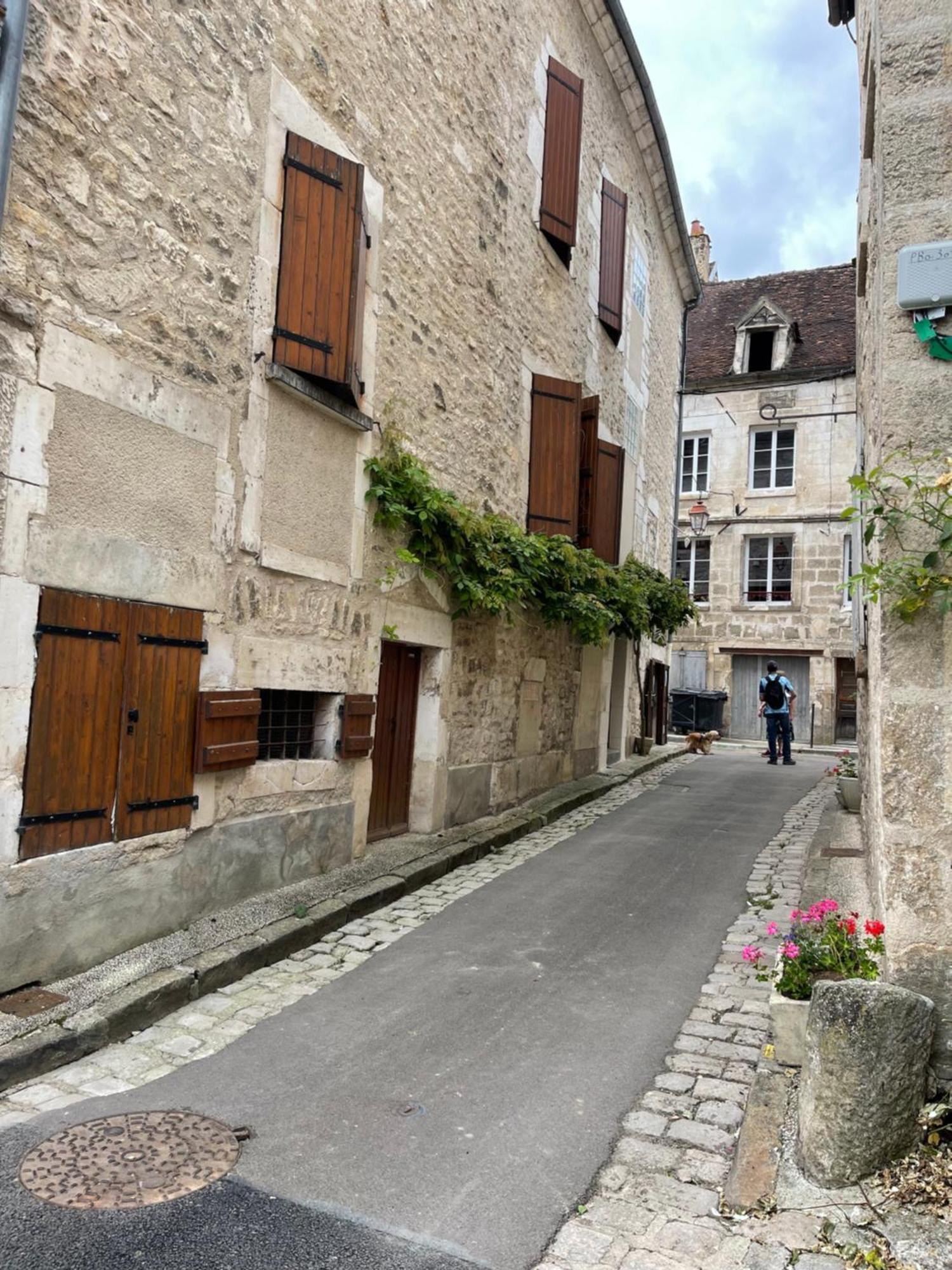 La Maison D'Alienor - Gites De Caractere A Chablis - 89 Exterior photo